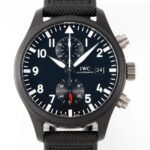 IWC Pilot IW389001 Black Dial Watch APS Factory