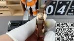 IWC Portugieser IW500701 Brown Srap Watch ZF Factory - Image 6